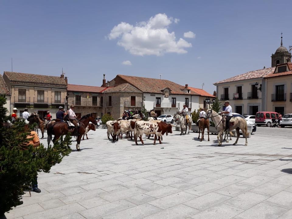 9167E266-87C0-4D44-80A9-CC1A87721D8E